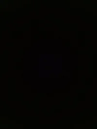 Half corrupted Theod