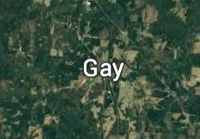 Gay