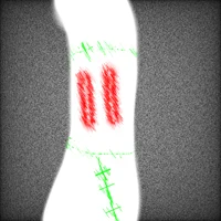 Green Jaimito BETTER