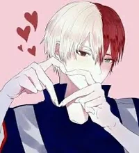 Shoto Todoroki