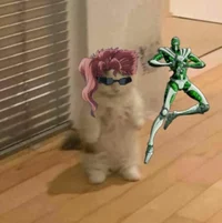 Cat Kakyoin