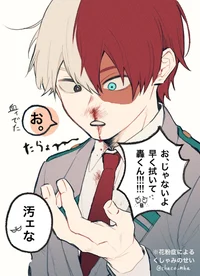 Shoto Todoroki