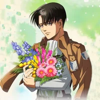 Levi Ackerman 