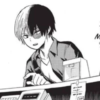 Shoto Todoroki