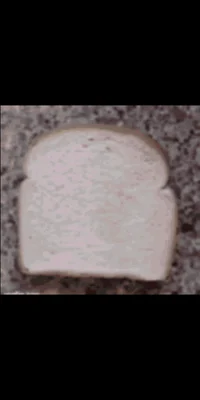 -Gay Bread-