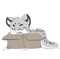 Snow Leopard in Box