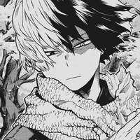 Shoto Todoroki