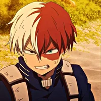 Shoto Todoroki