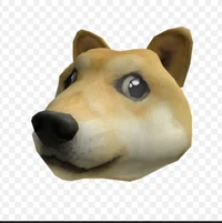 Doge