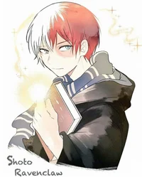 Shoto Todoroki