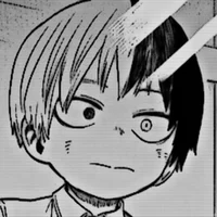Shoto Todoroki