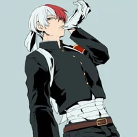 Shoto Todoroki 