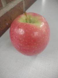 Apple Danny