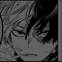 Shoto Todoroki 