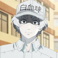 White blood cell 