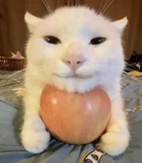 Ten Co Jajami Dzwoni