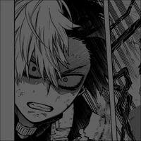 Shoto Todoroki