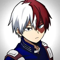 Shoto Todoroki