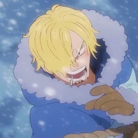 Sanji brother 
