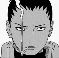 Shikamaru Nara 