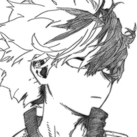 Shoto Todoroki