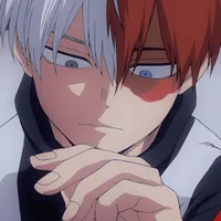 Shoto Todoroki