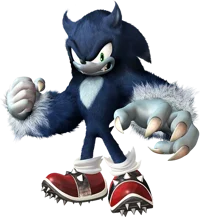 Sonic The Werehog 
