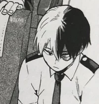 Shoto Todoroki