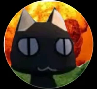 Lolcatfunnyvideo