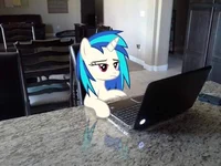 Vinyl scratch