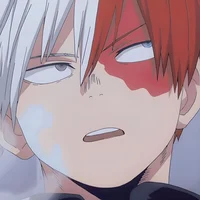 Shoto Todoroki