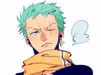 Protective Zoro