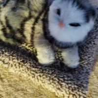 SikismekCemreyeYakis