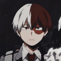 Shoto Todoroki