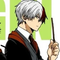 Shoto Todoroki