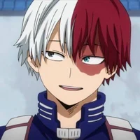 Shoto Todoroki