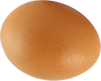 idiot egg