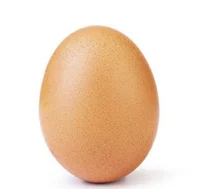A Egg