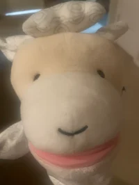 Baldsheep Y100