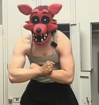 Michael afton herman