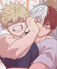 Bakugou and shoto 