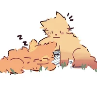 cats akikasa AU