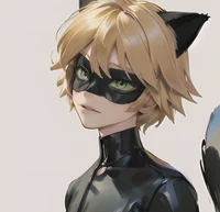Cat Noir