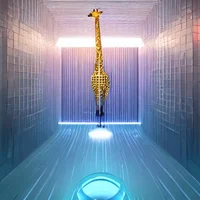 Inside laser cage gi