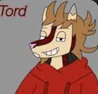 Armadillo Tord