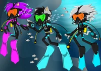 Concorde Noah Adrian