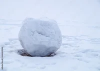 Snowball Migration