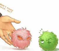 Pink and greenMarimo