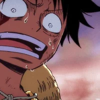 Luffy 