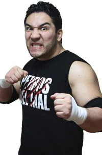 Perro Aguayo Jr